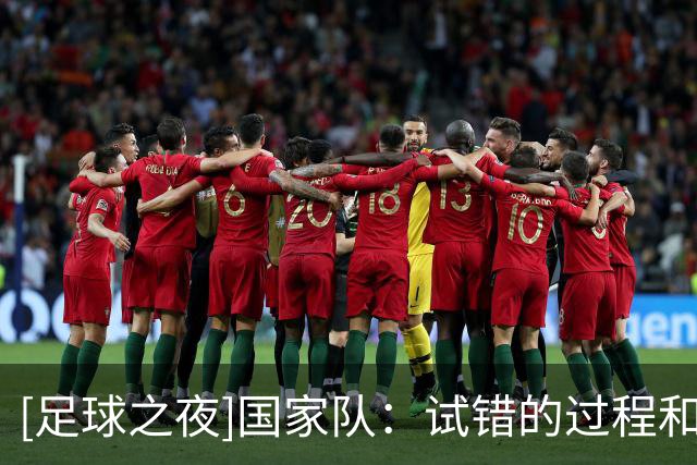 [足球之夜]国家队：试错的过程和代价